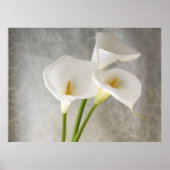 calla lilies schort poster groot (Voorkant)