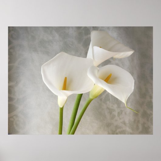 calla lilies schort poster groot (Voorkant)