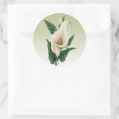 Calla Lilies Sticker (Tas)