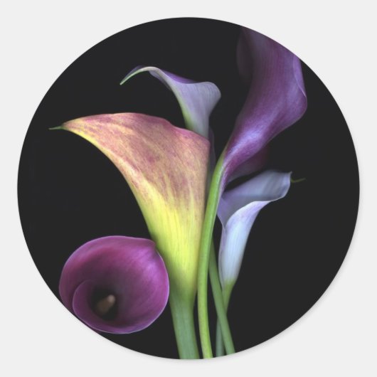 Calla Lilies Stickers (Voorkant)
