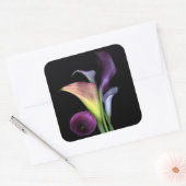 Calla Lilies Stickers (Envelop)