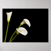 Calla lillies print (Voorkant)
