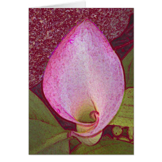 Calla Lilly