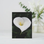 Calla Lilly Briefkaart (Staand voorkant)