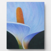 Calla Lilly Fotoplaat (Voorkant)