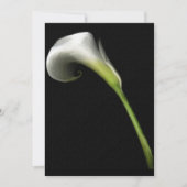 Calla Lilly Invitations (voeg uw eigen tekst toe) Kaart (Voorkant)