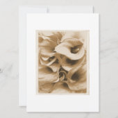 Calla Lilly Kaart (Achterkant)