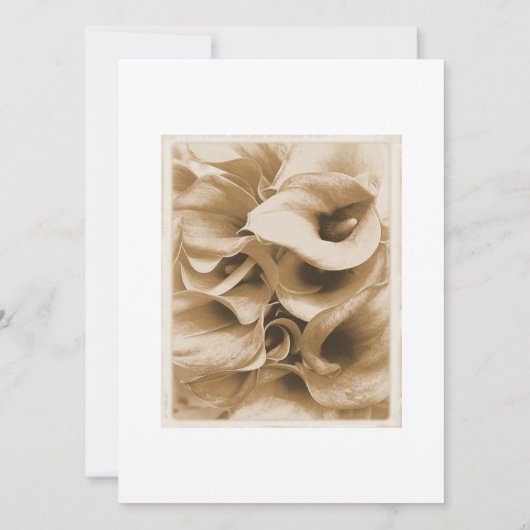 Calla Lilly Kaart (Achterkant)