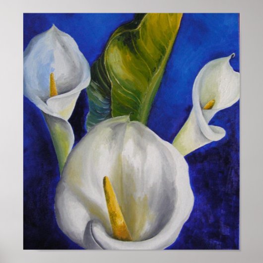 calla lilly poster (Voorkant)