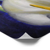 calla lilly poster (Hoek)