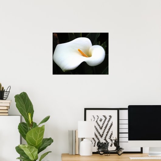 Calla Lilly Poster (Thuiskantoor)