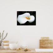 Calla Lilly Poster (Keuken)