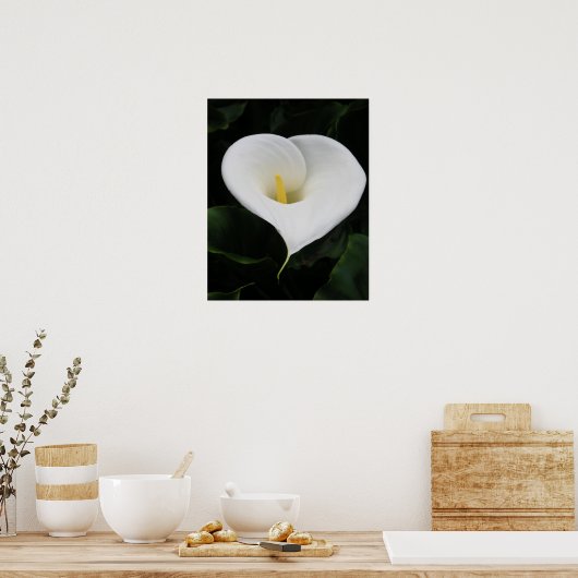 Calla Lilly Poster (Keuken)