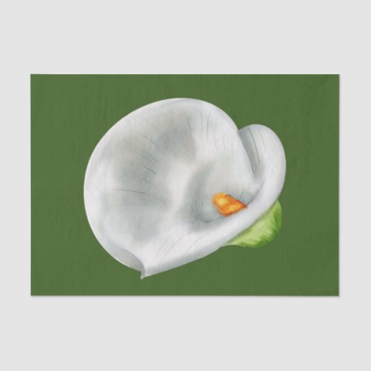 Calla Lilly Tissuepapier (Voorkant)
