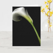 Calla Lilly Wenskaarten Kaart (Gele Bloem)