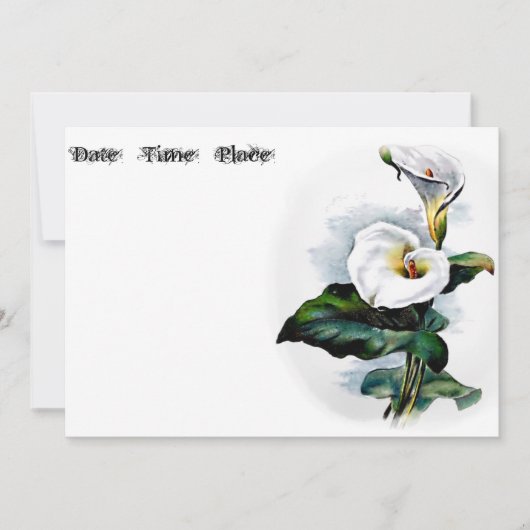 Calla Lily (Voorkant)