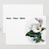 Calla Lily (Voorkant / Achterkant)