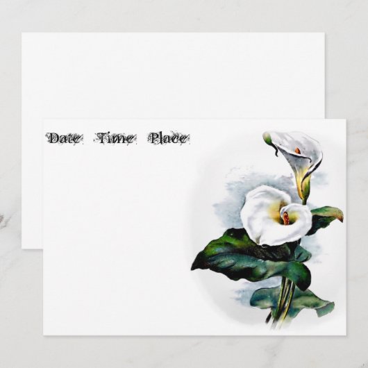 Calla Lily (Voorkant / Achterkant)