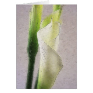 Calla Lily 1 Waterverf