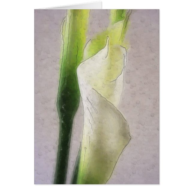 Calla Lily 1 Waterverf (Voorkant)