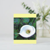 Calla Lily 2011 Briefkaart (Staand voorkant)