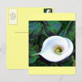 Calla Lily 2011 Briefkaart (Voorkant / Achterkant)