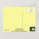 Calla Lily 2011 Briefkaart (Achterkant)