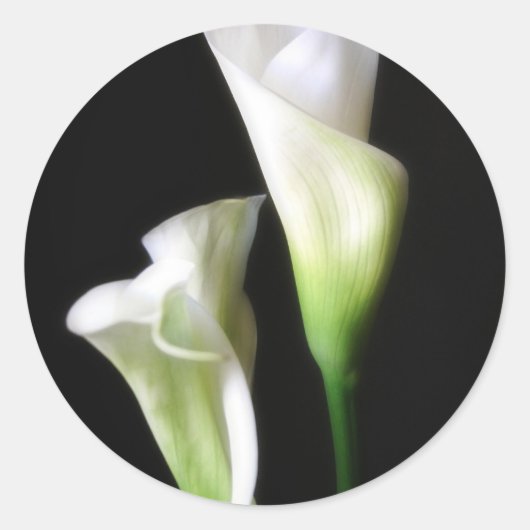 Calla Lily 2 Ronde Sticker (Voorkant)