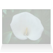 Calla Lily - 5 x 7-inch Art Kaart (Binnen Horizontaal (Boven))