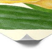 Calla Lily art print (Hoek)