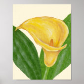 Calla Lily art print (Voorkant)