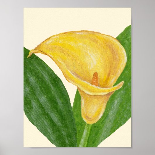 Calla Lily art print (Voorkant)