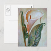 Calla Lily Beauful Botanical Art Briefkaart (Voorkant / Achterkant)