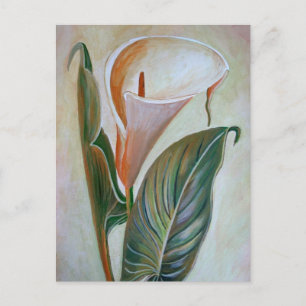 Calla Lily Beauful Botanical Art Briefkaart