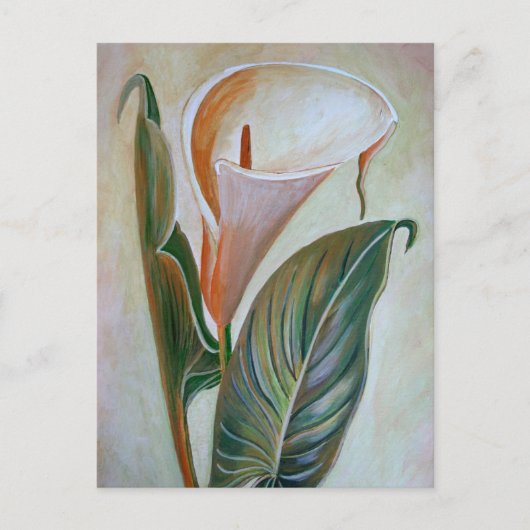 Calla Lily Beauful Botanical Art Briefkaart (Voorkant)