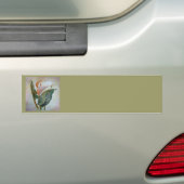 Calla Lily Beauful Botanical Art Bumpersticker (Op auto)
