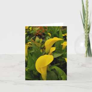 Calla lily bedankkaart