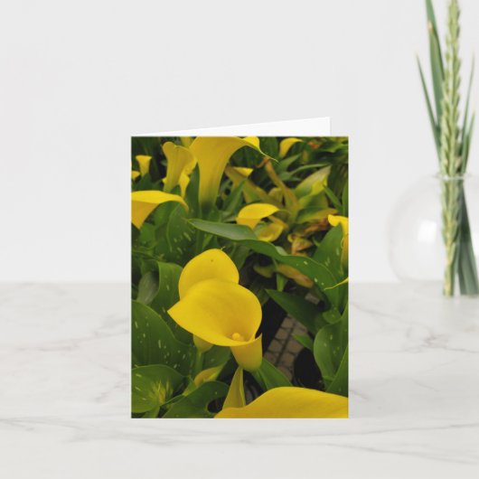 Calla lily bedankkaart (Voorkant)