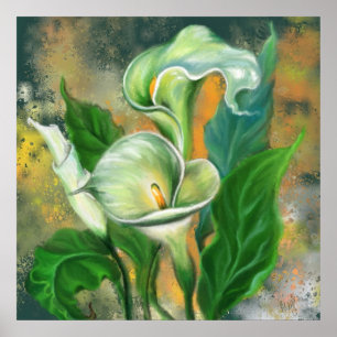 Calla Lily Bloem Poster Schilderij