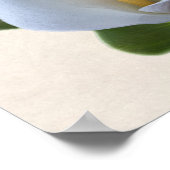 Calla Lily Bloemen Bloemstuk Elegante Bruiloft Poster (Hoek)