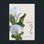 Calla Lily Bloemen Floral Elegant Tafelnummer<br><div class="desc">Calla Lily Flowers Floral Elegant Tafelnummer. Overeenkomende objecten in dit collectie zijn beschikbaar.</div>