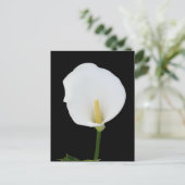 Calla Lily Briefkaart (Staand voorkant)