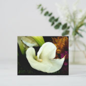 Calla Lily Briefkaart (Staand voorkant)