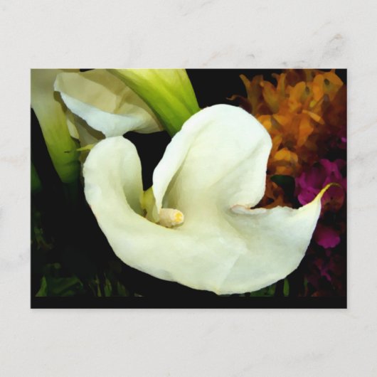 Calla Lily Briefkaart (Voorkant)