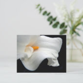Calla Lily Briefkaart (Staand voorkant)