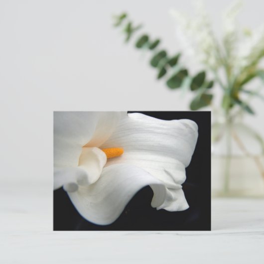 Calla Lily Briefkaart (Staand voorkant)