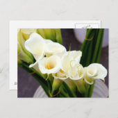 Calla Lily briefkaart (Voorkant / Achterkant)