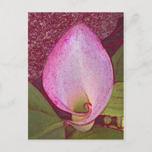 Calla Lily Briefkaart