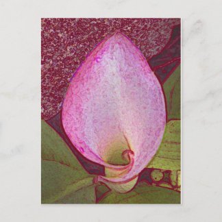 Calla Lily Briefkaart