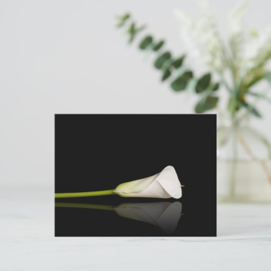 Calla lily briefkaart (Staand voorkant)